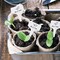Plastic Plant Labels 100 Pack – T-Type Garden Tags 2.36x3.94 Inch, Waterproof Plant Markers for Garden, Nursery, Pots, Seedlings